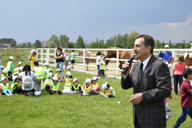 "Hayvanları Koruyalım, Sevgimizi Çoğaltalım"