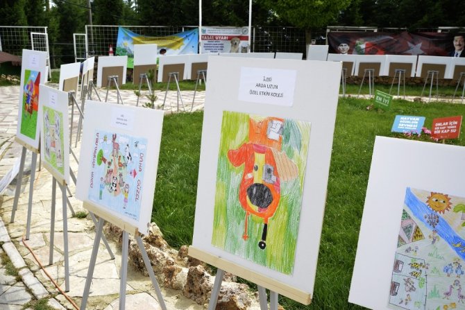 "Hayvanları Koruyalım, Sevgimizi Çoğaltalım"