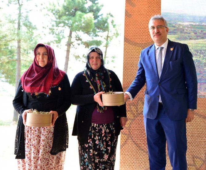 "Tarlalar Sürülsün, Gelenek Sürsün" projesinde ilk meyve hasadı yapıldı.