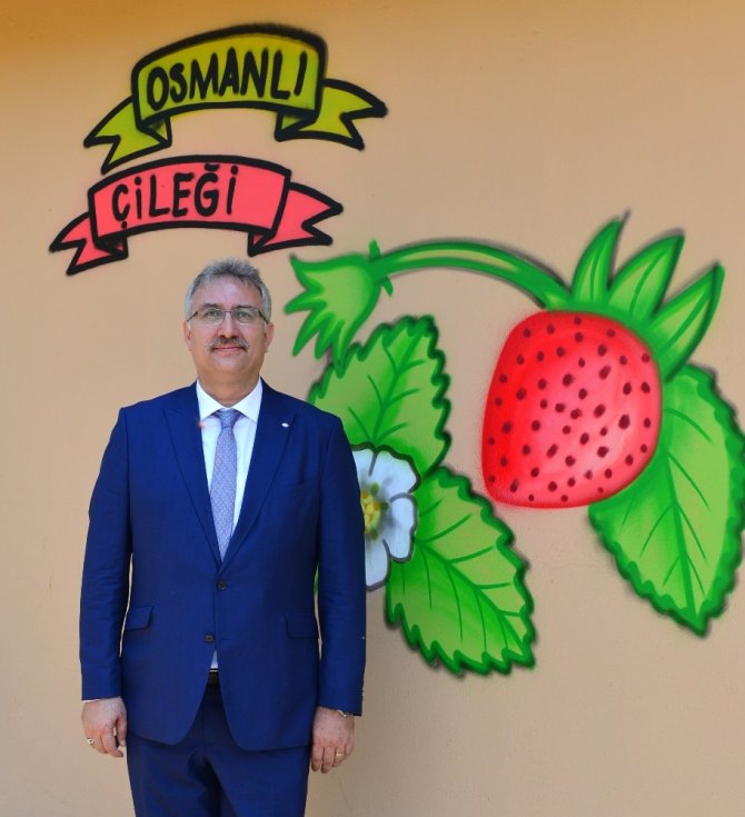 "Tarlalar Sürülsün, Gelenek Sürsün" projesinde ilk meyve hasadı yapıldı.