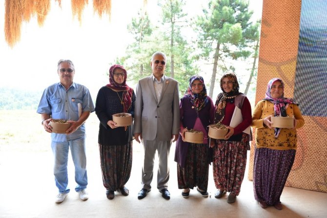 "Tarlalar Sürülsün, Gelenek Sürsün" projesinde ilk meyve hasadı yapıldı.