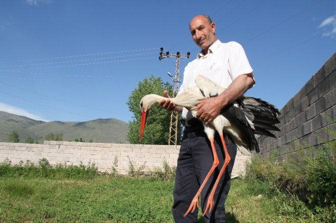 Van'ın Muradiye ilçesi Yumaklı Mahallesi Muhtardan örnek davranış