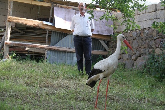 Van'ın Muradiye ilçesi Yumaklı Mahallesi Muhtardan örnek davranış