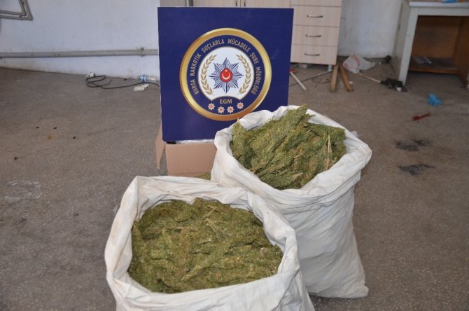 Bursa'da 54 kilogram uyuşturucu ele geçirildi