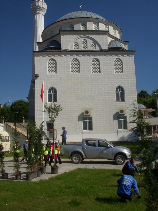 Kartepe Belediyesi'nde çevre düzünlenmesi