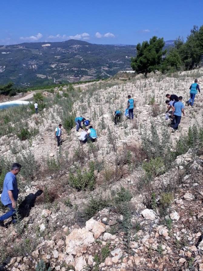 Mersin denetimli serbestlik yükümlüleri, hatıra ormanına fidan dikti