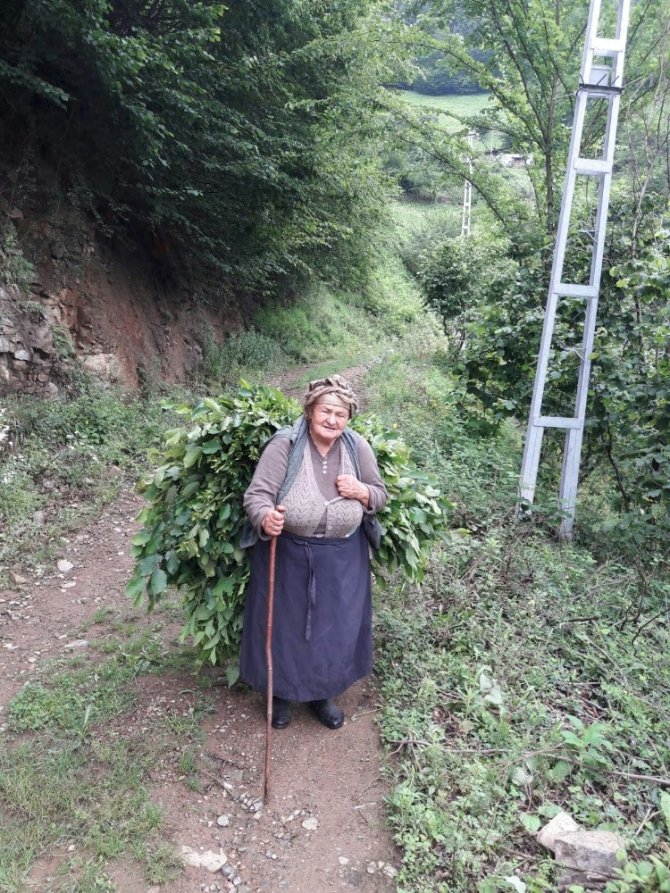 Trabzon'da 4 bin 395 aileyi ziyaret ettiler...