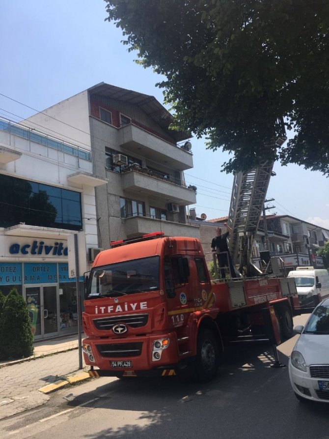 Ağaçta mahsur kalan kediyi itfaiye kurtardı