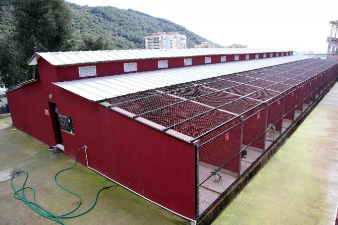 Can dostlara 5 yıldızlı yuva