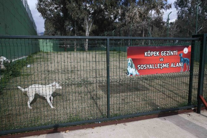 Can dostlara 5 yıldızlı yuva