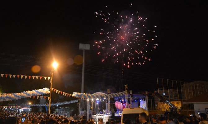 Tatvan Doğu Anadolu kültür ve sanat festivali başladı