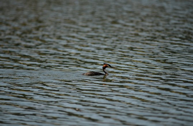 Gököz Göleti büyülüyor