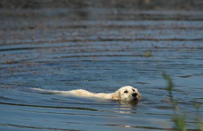 Gököz Göleti büyülüyor
