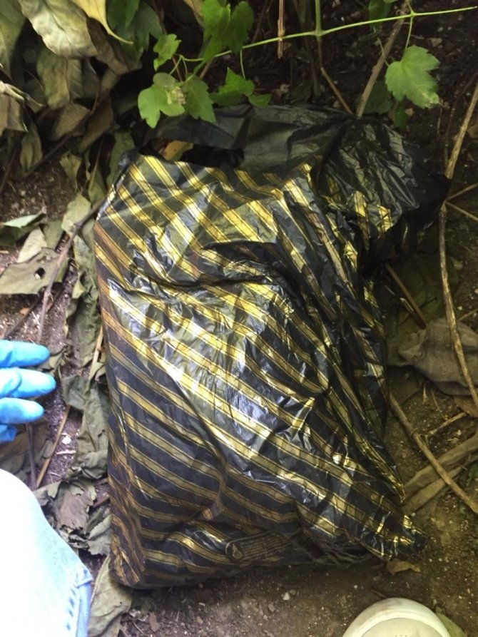 Bonzai satarken yakalanan genç tutuklandı