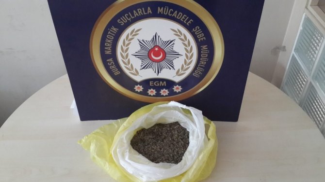 Bursa’da uyuşturucu operasyonu: 9 gözaltı
