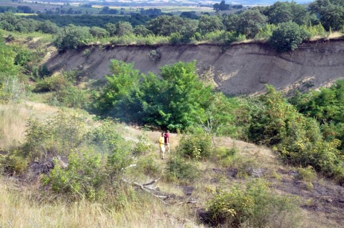 Tekirdağ’da orman yangını