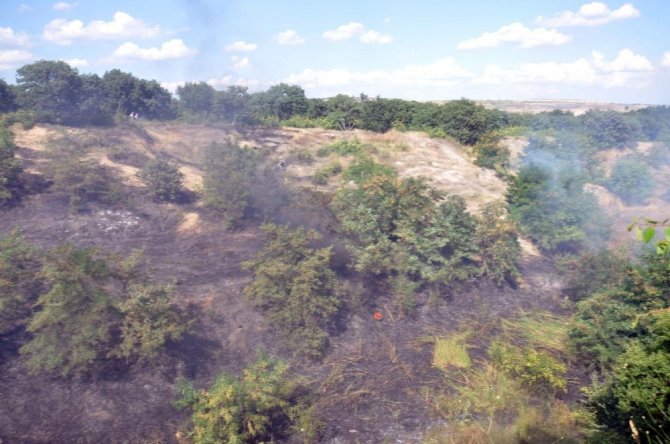 Tekirdağ’da orman yangını