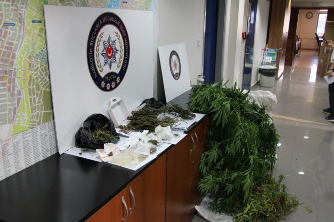 Evini uyuşturucu serasına çevirdi