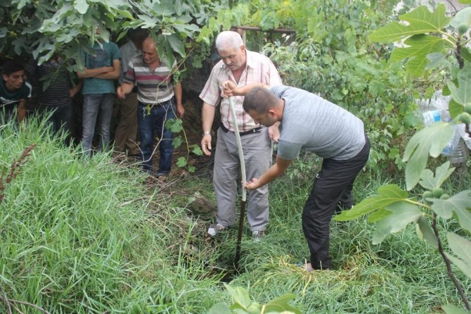 Su kuyusuna düşen inek telef oldu