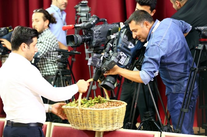 "Toprak Mahsulleri Ofisi TMO derhal devreye sokularak fındık alacağını ilan etmeli"