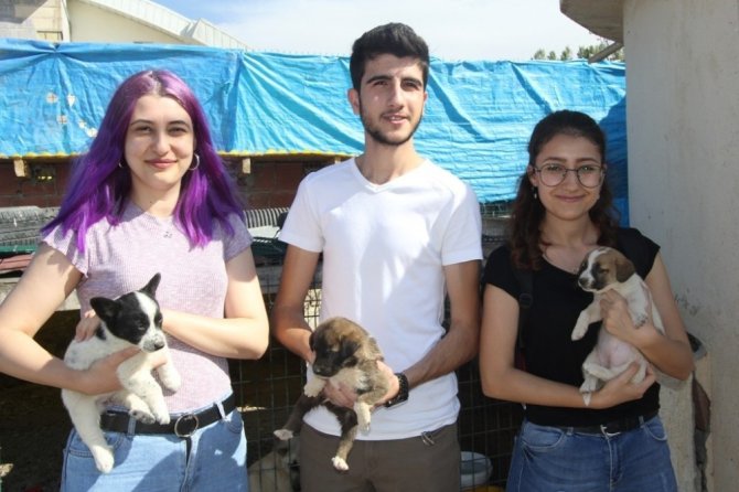 Stajyer öğrenciler ilk defa ameliyat heyecanı yaşadı