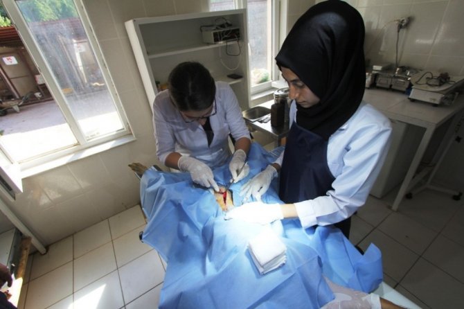 Stajyer öğrenciler ilk defa ameliyat heyecanı yaşadı