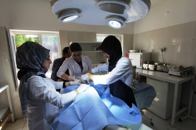 Stajyer öğrenciler ilk defa ameliyat heyecanı yaşadı