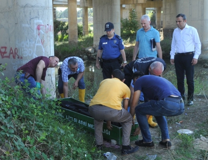 Kızılırmak’ta erkek cesedi bulundu