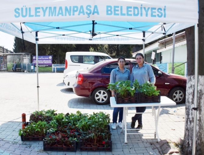 Mezarlığa gelenler çiçekle karşılandı