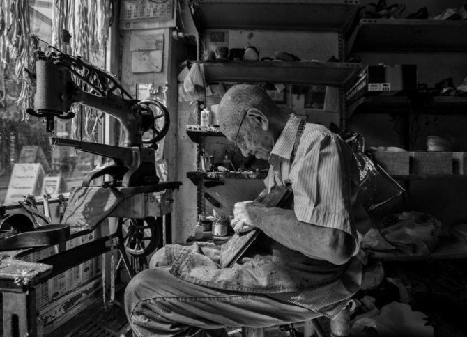 Photo Safari’de dereceye giren fotoğraflar belli oldu