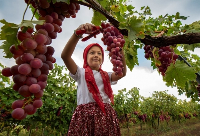 Photo Safari’de dereceye giren fotoğraflar belli oldu