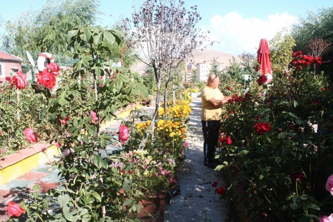 Bataklık olan alanı Atatürk sevgisi sayesinde botanik bahçesine dönüştürdü