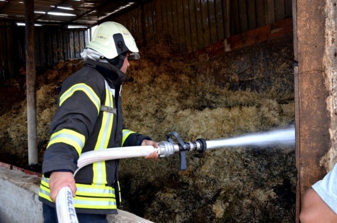 Manisa'nın Sarıgöl ilçesinde samanlık yangını