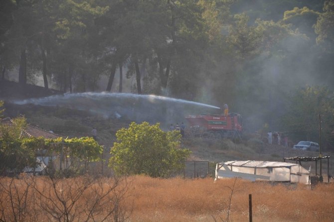 Muğla Ortaca orman yangınında 2 hektar ormanlık alan zarar gördü.