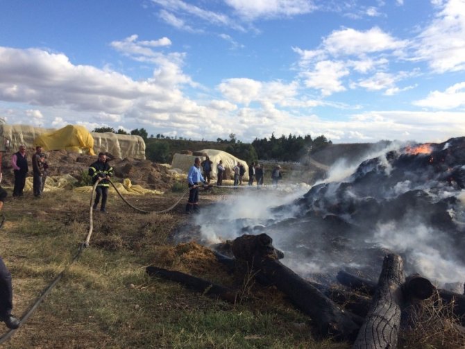 Tekirdağ'ın Malkara ilçesinde Bin balya saman kül oldu