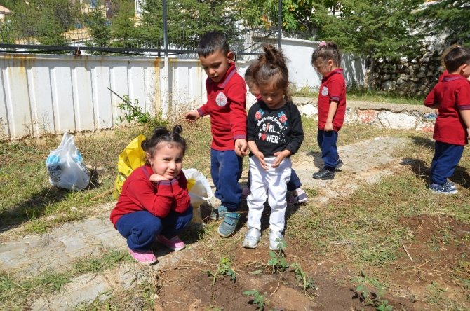 Akseki'de Küçük bahçıvanlar iş başında