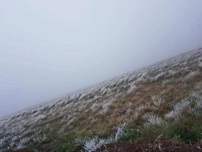 Yeni sezonun ilk karı Ardahan’a yağdı!