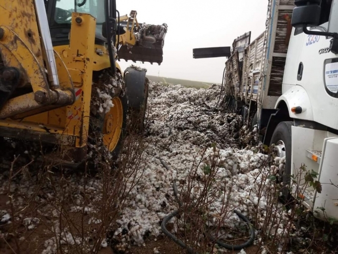 Pamuk yüklü kamyon elektrik tellerine temas edince alev aldı
