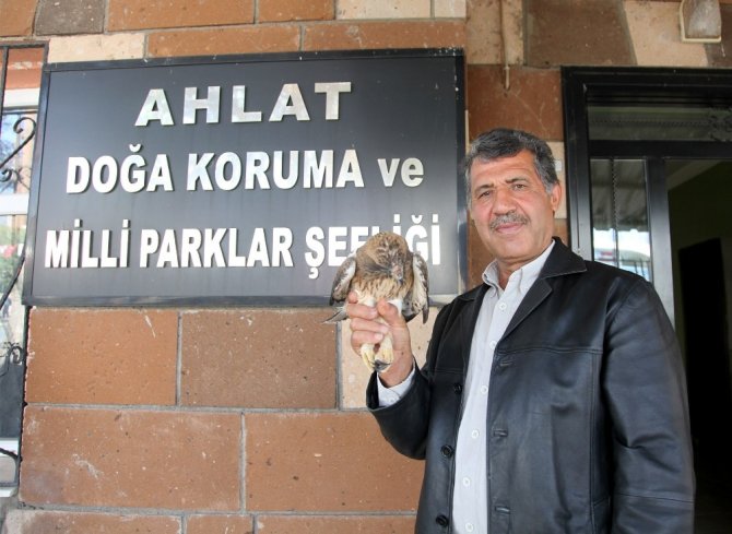 Bitlis'in Ahlat ilçesinde Tedavisi tamamlanan şahin doğaya bırakıldı