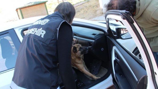 Narkotik Suçlarla Mücadele Şube Müdürlüğü ekipleri 1 kişiyi tutukladı