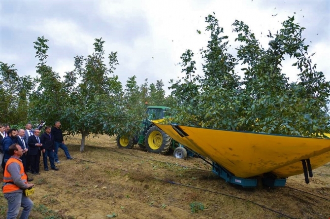 Ceviz bahçeleri incelendi