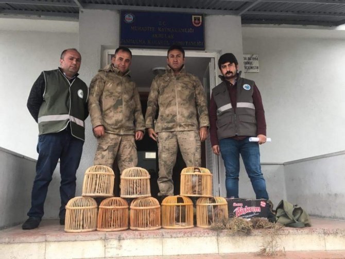 Van’da keklik avcısı 3 kişiye 14 bin 982 lira para cezası uygulandı.