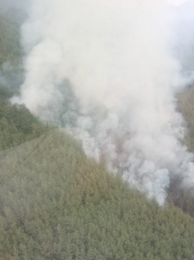 Hatay’ Dörtyol ilçesi Amanos dağı eteklerinde orman yangını