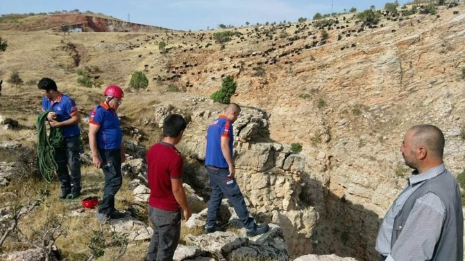 Siirt Tillo ilçesi Kayalıklarda mahsur kalan keçi kurtarıldı