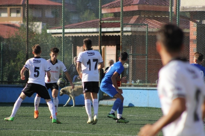 Sahaya giren köpek maçın durmasına sebep oldu