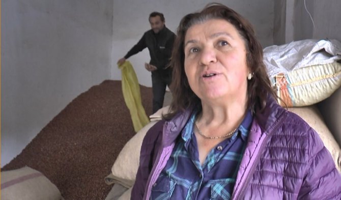 Giresunlu fındık üreticileri, fındık fiyatını değerlendirdi