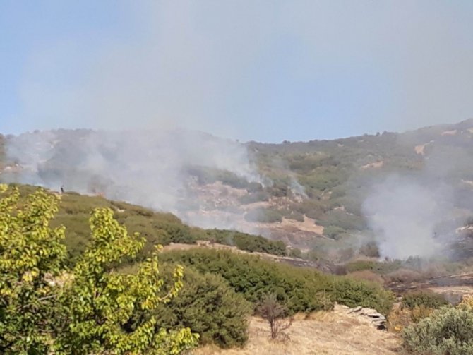 Manisa’da orman yangını, 3 hektar bozuk orman alanı zarar gördü.