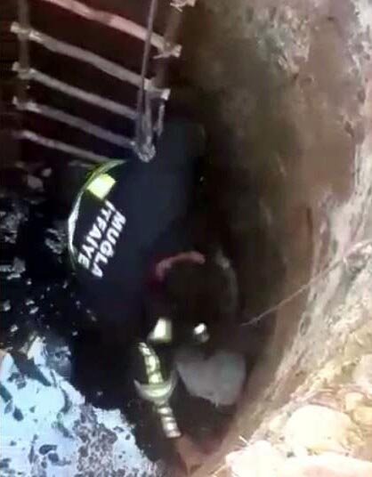 MUĞLA'nın Datça ilçesinde Su kuyusuna düşen kediyi itfaiye kurtardı