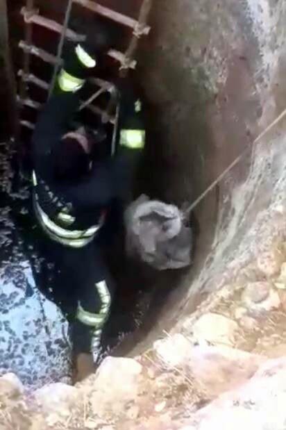 MUĞLA'nın Datça ilçesinde Su kuyusuna düşen kediyi itfaiye kurtardı