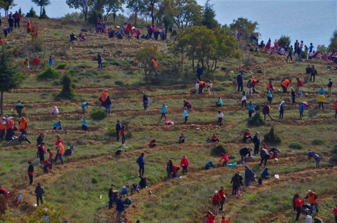Öğrenci ve öğretmenler birlikte fidan dikti